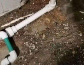 肇州卫生间测漏水服务电话