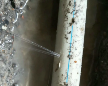 肇州卫生间测漏水多少钱