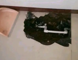 肇州卫生间测漏水多少钱